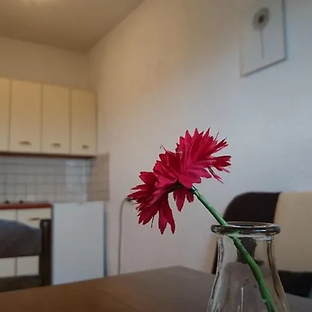 Apartment Monika Nin